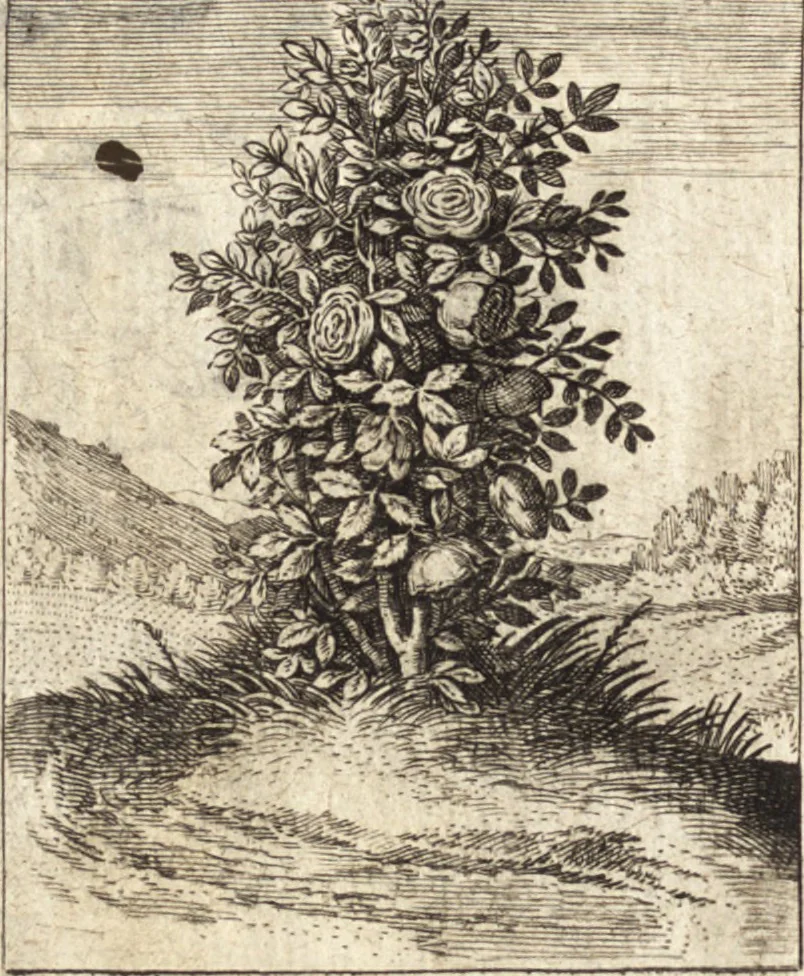 An illustration from Zodiacus Christianus, das ist Christelicher Himmelcirckel, oder, zwölff Zeichen bey welche[n] ein ieder Christ erkenne[n] vnd schliessen kan, ob er von Gott zum ewigen Leben fürsehen vnd erwölet oder nicht : sampt XII schöne[n] Figuren, durch welche bemelte Zeiche[n] für Augen gestelt werden, 1624, leaf 115