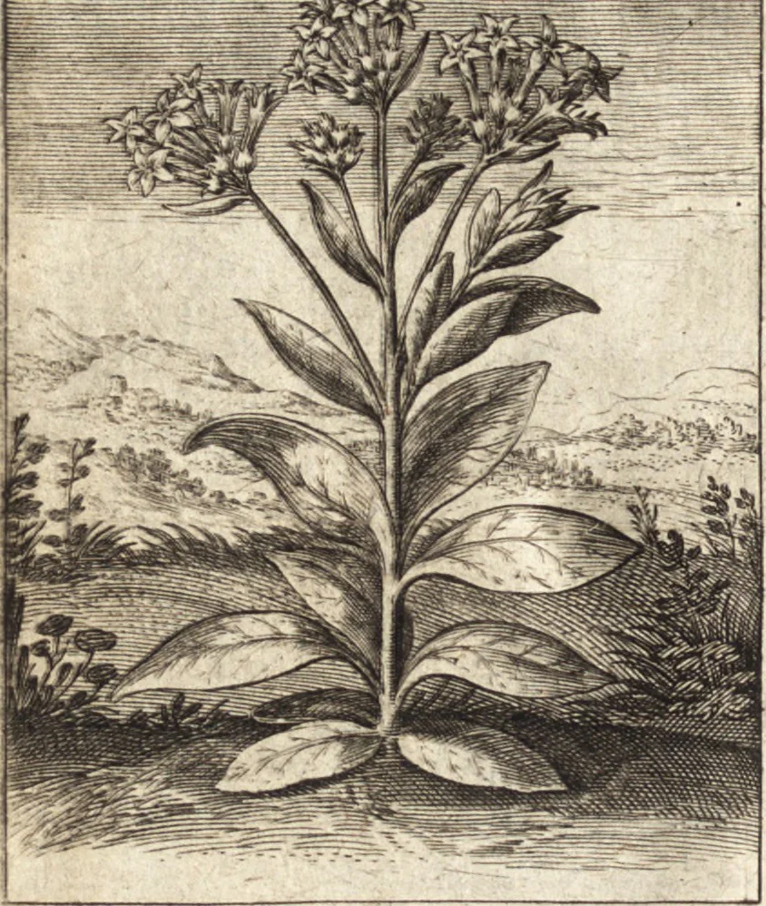 An illustration from Zodiacus Christianus, das ist Christelicher Himmelcirckel, oder, zwölff Zeichen bey welche[n] ein ieder Christ erkenne[n] vnd schliessen kan, ob er von Gott zum ewigen Leben fürsehen vnd erwölet oder nicht : sampt XII schöne[n] Figuren, durch welche bemelte Zeiche[n] für Augen gestelt werden, 1624, leaf 167