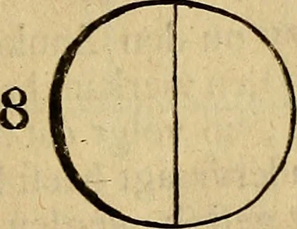 An illustration from Grondlegginge ter teekenkonst : zynde een korte en zeekere weg om door middel van de geometrie of meetkunde, de teeken-konst volkomen te leeren, 1701, leaf 28