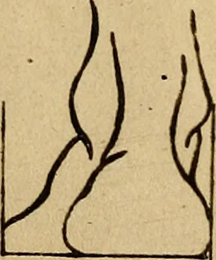 An illustration from Grondlegginge ter teekenkonst : zynde een korte en zeekere weg om door middel van de geometrie of meetkunde, de teeken-konst volkomen te leeren, 1701, leaf 46