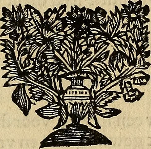 An illustration from Grondlegginge ter teekenkonst : zynde een korte en zeekere weg om door middel van de geometrie of meetkunde, de teeken-konst volkomen te leeren, 1701, leaf 8