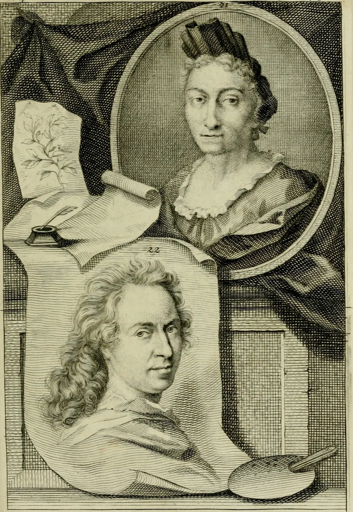 An illustration from De groote schouburgh der Nederlantsche konstschilders en schilderessen : waar van 'er veele met hunne beeltenissen ten tooneel verschynen, en hun levensgedrag en konstwerken beschreven worden: zynde een vervolg op het Schilderboek van K. v. Mander ..., 1753, leaf 246