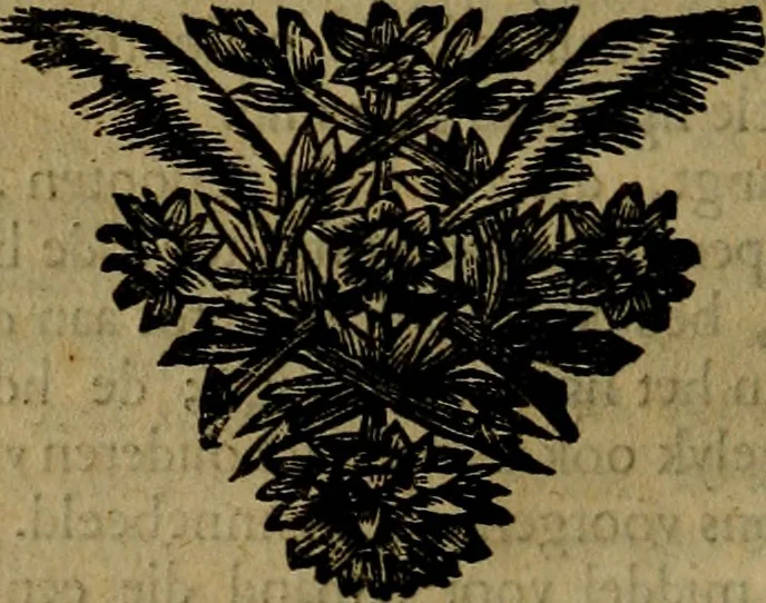 An illustration from Groot schilderboek : waar in de schilderkonst in al haar deelen grondig werd onderweezen, ook door redeneeringen en printverbeeldingen verklaard : met voorbeelden uyt de beste konst-stukken der oude en nieuwe puyk-schilderen bevestigd : en derzelver wel- en misstand aangeweezen, 1712, leaf 209