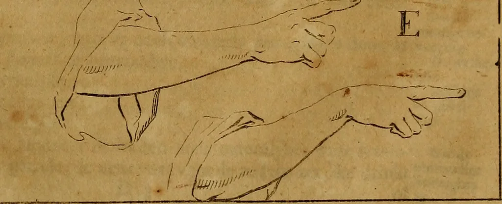An illustration from Groot schilderboek : waar in de schilderkonst in al haar deelen grondig werd onderweezen, ook door redeneeringen en printverbeeldingen verklaard : met voorbeelden uyt de beste konst-stukken der oude en nieuwe puyk-schilderen bevestigd : en derzelver wel- en misstand aangeweezen, 1712, leaf 52