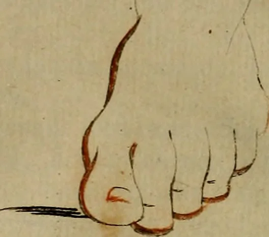 An illustration from Groot schilderboek : waar in de schilderkonst in al haar deelen grondig werd onderweezen, ook door redeneeringen en printverbeeldingen verklaard : met voorbeelden uyt de beste konst-stukken der oude en nieuwe puyk-schilderen bevestigd : en derzelver wel- en misstand aangeweezen, 1712, leaf 859