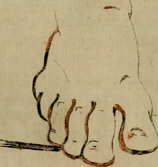 An illustration from Groot schilderboek : waar in de schilderkonst in al haar deelen grondig werd onderweezen, ook door redeneeringen en printverbeeldingen verklaard : met voorbeelden uyt de beste konst-stukken der oude en nieuwe puyk-schilderen bevestigd : en derzelver wel- en misstand aangeweezen, 1712, leaf 859