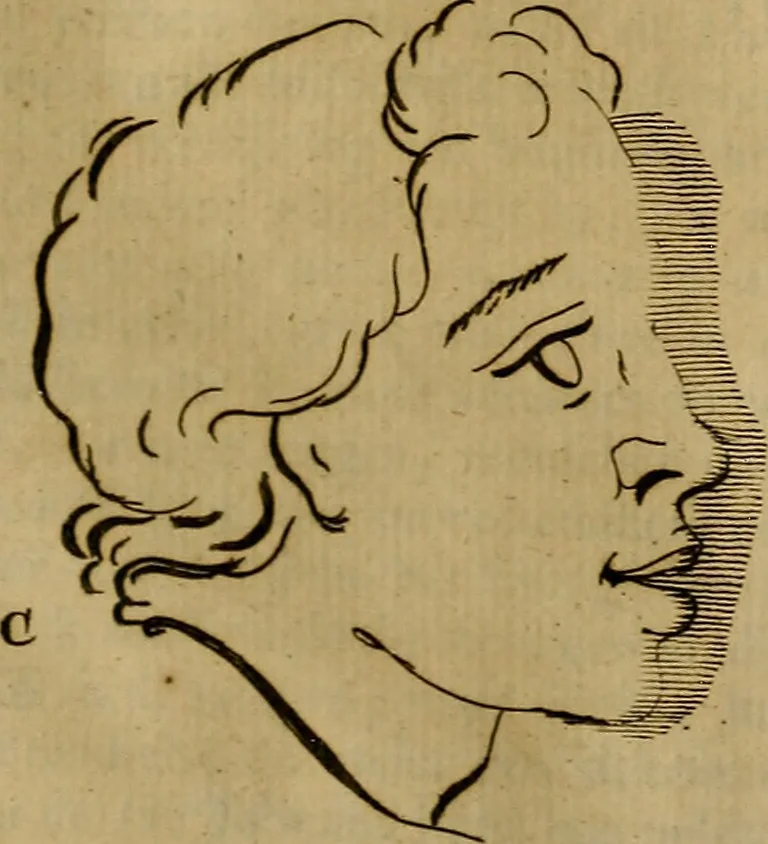 An illustration from Groot schilderboek : waar in de schilderkonst in al haar deelen grondig werd onderweezen, ook door redeneeringen en printverbeeldingen verklaard : met voorbeelden uyt de beste konst-stukken der oude en nieuwe puyk-schilderen bevestigd : en derzelver wel- en misstand aangeweezen, 1712, leaf 892