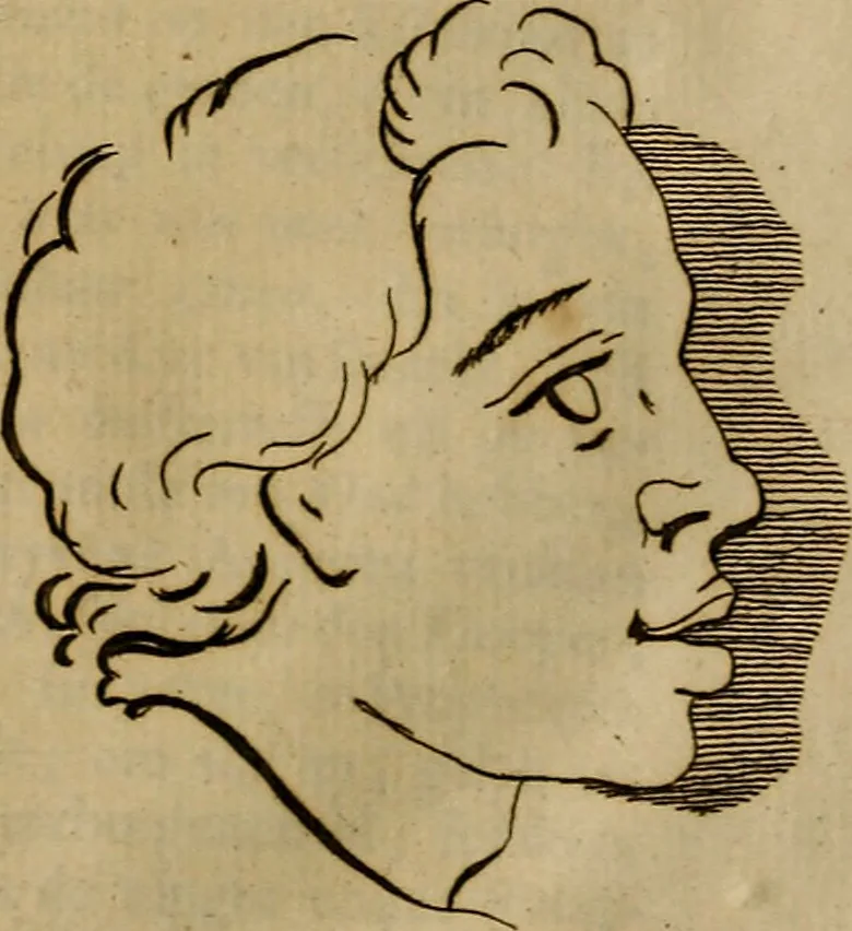 An illustration from Groot schilderboek : waar in de schilderkonst in al haar deelen grondig werd onderweezen, ook door redeneeringen en printverbeeldingen verklaard : met voorbeelden uyt de beste konst-stukken der oude en nieuwe puyk-schilderen bevestigd : en derzelver wel- en misstand aangeweezen, 1712, leaf 892