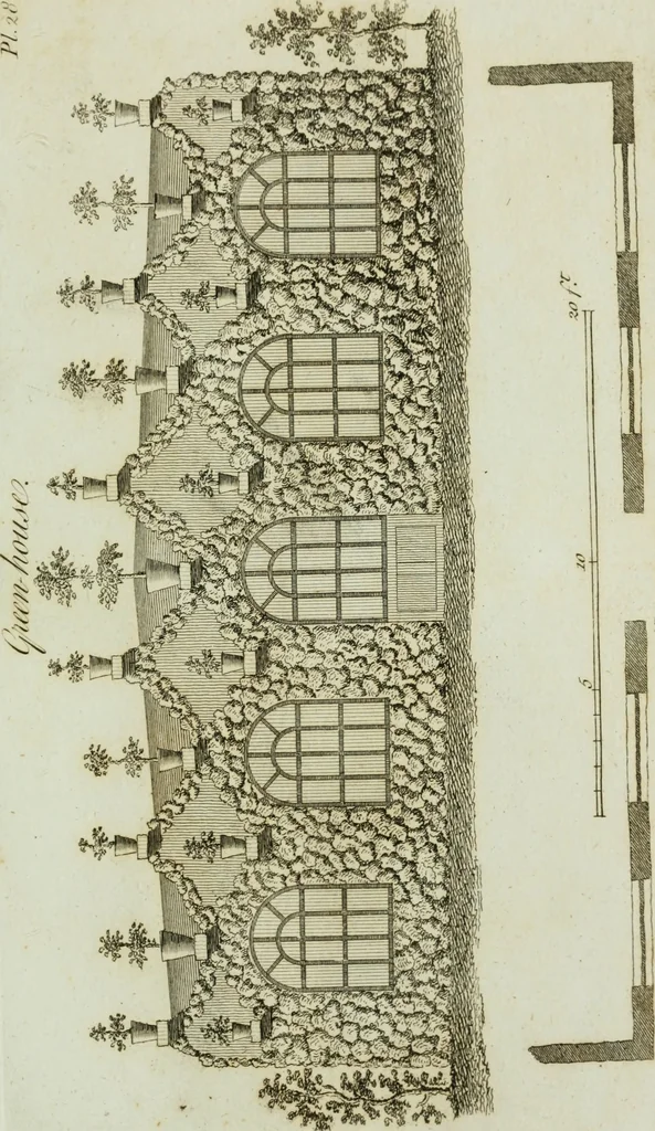 An illustration from Grotesque architecture, or, Rural amusement : consisting of plans, elevations, and sections, for huts, retreats, summer and winter hermitages, terminaries, Chinese, Gothic, and natural grottos, cascades, baths, mosques, Moresque pavilions, grotesque and rustic seats, green-houses, &c. : many of which may be executed with flints, irregular stones, rude branches, and roots of trees : the whole containing twenty-eight new designs, with scales to each : to which is added, an explanation, with the method of executing them, 1790, leaf 78