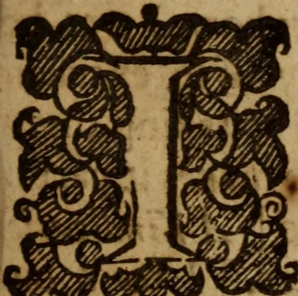 An illustration from The Grotian religion discovered, at the invitation of Mr. Thomas Pierce in his vindication : with a preface, vindicating the Synod of Dort from the calumnies of the new Tilenus, and David, Peter, &c. and the Puritanes, and sequestrations, &c. from the censures of Mr. Pierce, 1658, leaf 64