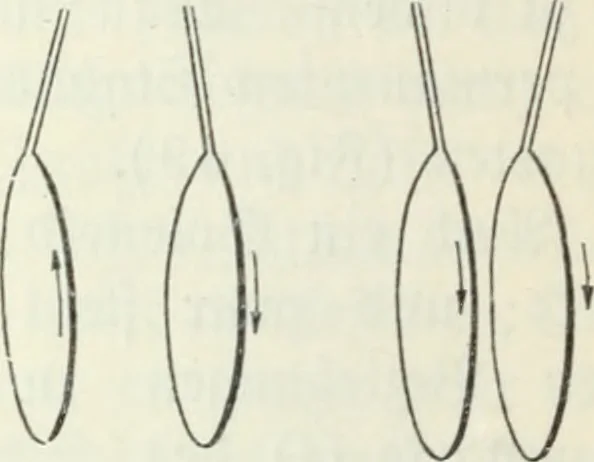 An illustration from Grundlagen der Elekrotechnik, 1907, leaf 55