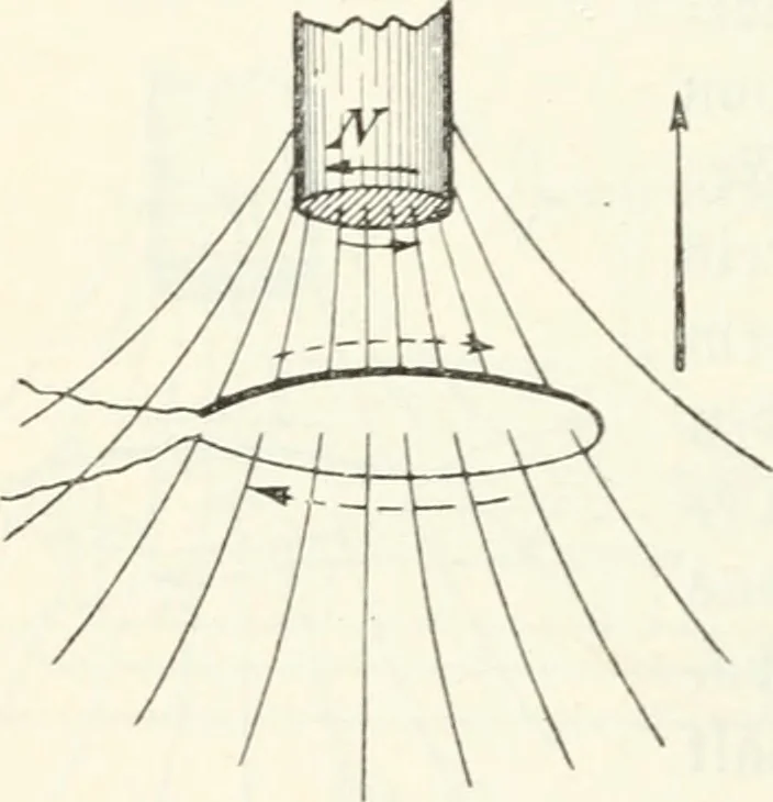 An illustration from Grundlagen der Elekrotechnik, 1907, leaf 65