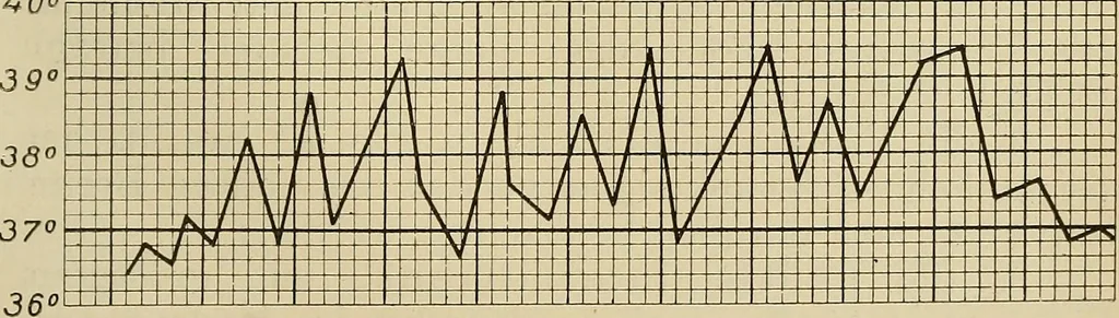 An illustration from Grundriss und Atlas der allgemeinen Chirurgie, 1905, leaf 203