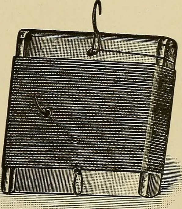 An illustration from Grundriss und Atlas der allgemeinen Chirurgie, 1905, leaf 31