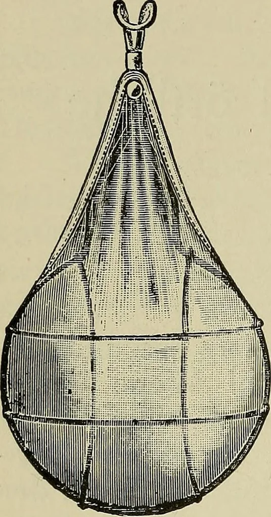 An illustration from Grundriss und Atlas der allgemeinen Chirurgie, 1905, leaf 34