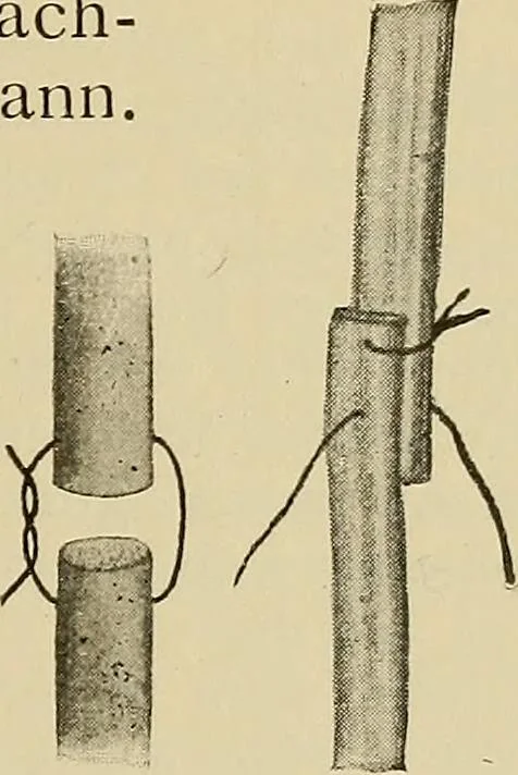 An illustration from Grundriss und Atlas der allgemeinen Chirurgie, 1905, leaf 79