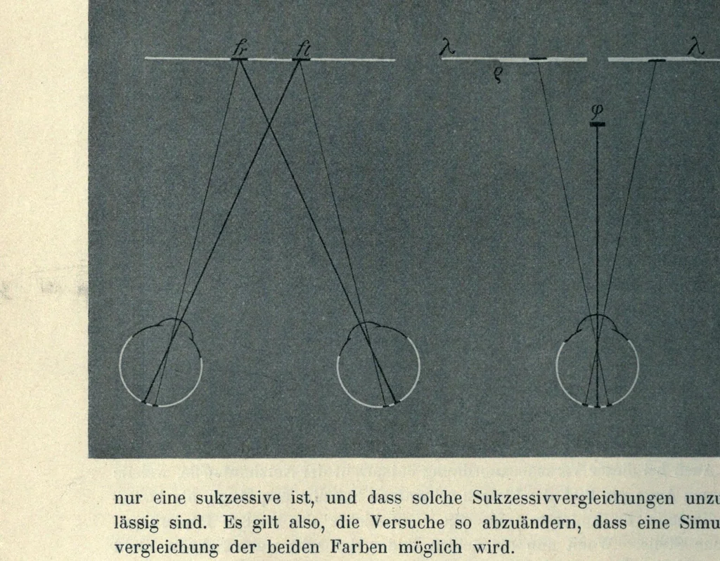 An illustration from Grundzüge der Lehre vom Lichtsinn, 1920, leaf 238