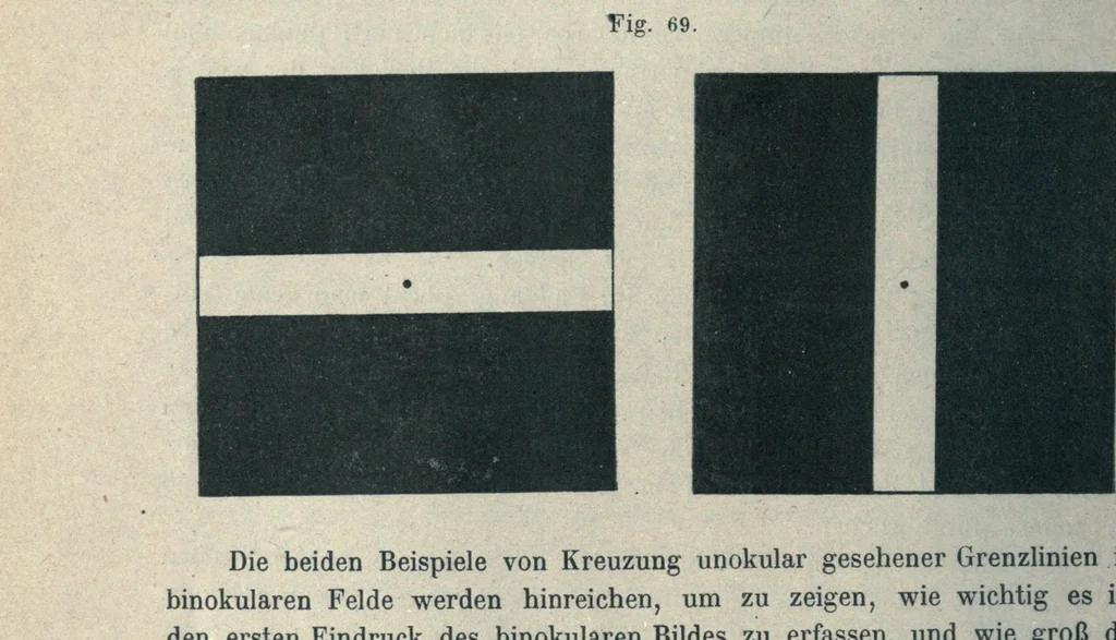 An illustration from Grundzüge der Lehre vom Lichtsinn, 1920, leaf 260
