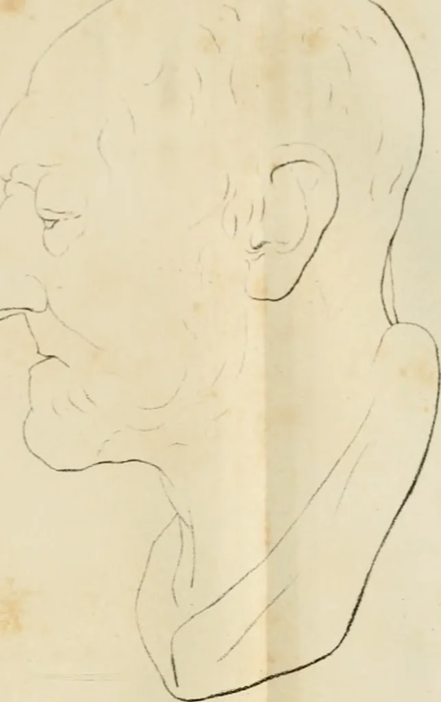 An illustration from Grundzüge der Phrenologie; oder, Anleitung zum Studium dieser Wissenschaft, 1842, leaf 404