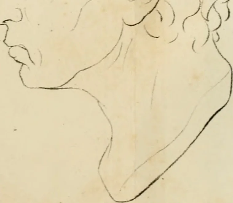 An illustration from Grundzüge der Phrenologie; oder, Anleitung zum Studium dieser Wissenschaft, 1842, leaf 404