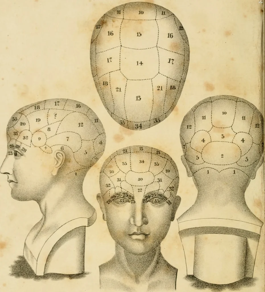 An illustration from Grundzüge der Phrenologie; oder, Anleitung zum Studium dieser Wissenschaft, 1842, leaf 5
