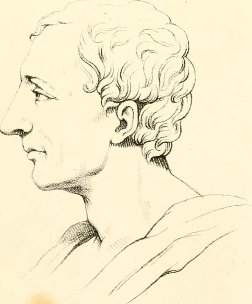 An illustration from Grundzüge der Phrenologie; oder, Anleitung zum Studium dieser Wissenschaft, mit Berücksichtigung der neueren Forschungen auf dem Gebiete der Physiologie und Psychologie, 1856, leaf 618