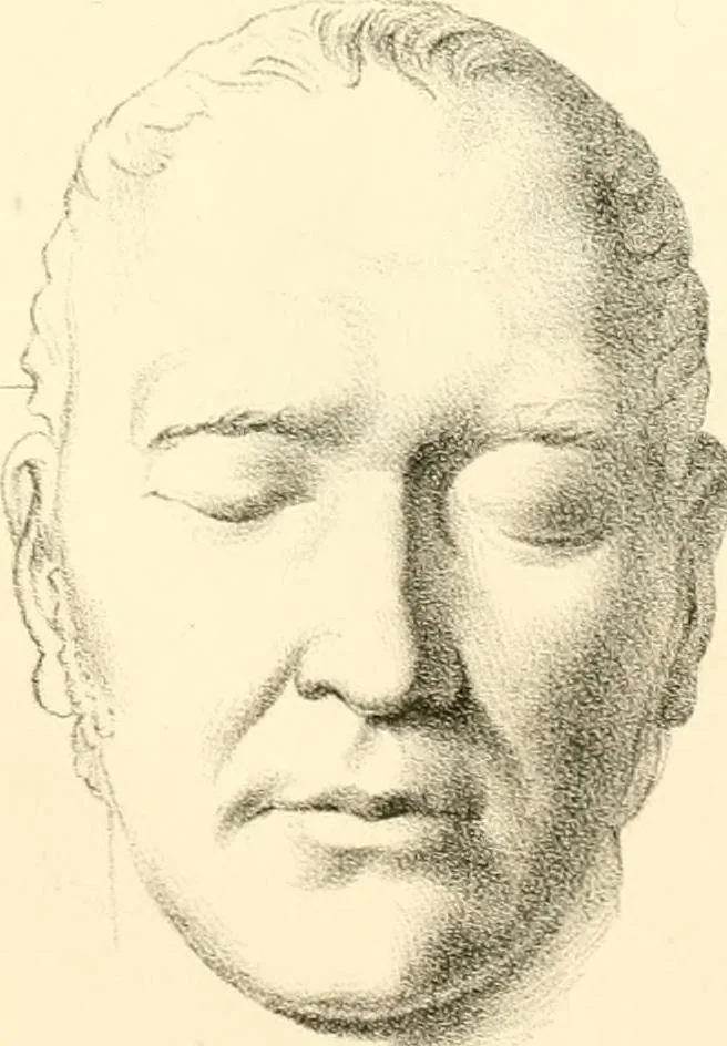 An illustration from Grundzüge der Phrenologie; oder, Anleitung zum Studium dieser Wissenschaft, mit Berücksichtigung der neueren Forschungen auf dem Gebiete der Physiologie und Psychologie, 1856, leaf 624