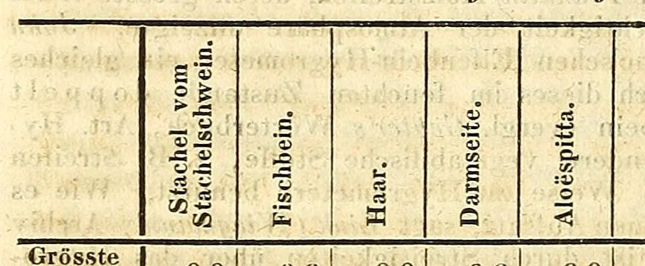 An illustration from Grundzüge der wissenschaftlichen Botanik : nebst einer methodologischen Einleitung als Anleitung zum Studium der Pflanze, 1842, leaf 842