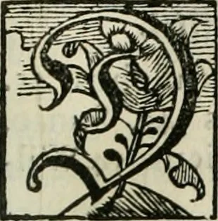 An illustration from Gryphus principalis, sive, Typus boni principis : XII titulis repræsentatus et reverendissimo ... Ioanni Philippo, S.R.I. principi, episcopo Herbipolensi ... oblatus humillime, 1712, leaf 106