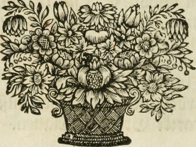 An illustration from Gryphus principalis, sive, Typus boni principis : XII titulis repræsentatus et reverendissimo ... Ioanni Philippo, S.R.I. principi, episcopo Herbipolensi ... oblatus humillime, 1712, leaf 11