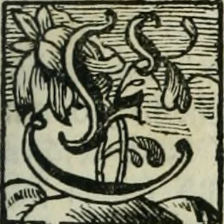 An illustration from Gryphus principalis, sive, Typus boni principis : XII titulis repræsentatus et reverendissimo ... Ioanni Philippo, S.R.I. principi, episcopo Herbipolensi ... oblatus humillime, 1712, leaf 122