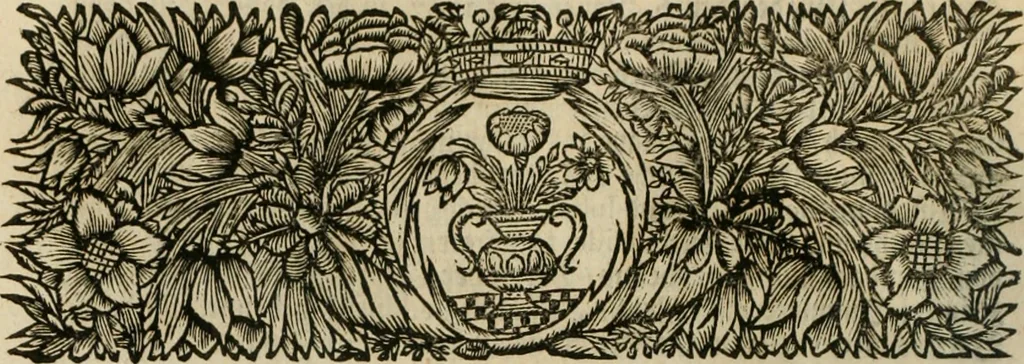 An illustration from Gryphus principalis, sive, Typus boni principis : XII titulis repræsentatus et reverendissimo ... Ioanni Philippo, S.R.I. principi, episcopo Herbipolensi ... oblatus humillime, 1712, leaf 229
