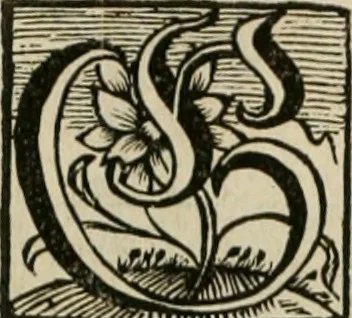 An illustration from Gryphus principalis, sive, Typus boni principis : XII titulis repræsentatus et reverendissimo ... Ioanni Philippo, S.R.I. principi, episcopo Herbipolensi ... oblatus humillime, 1712, leaf 231