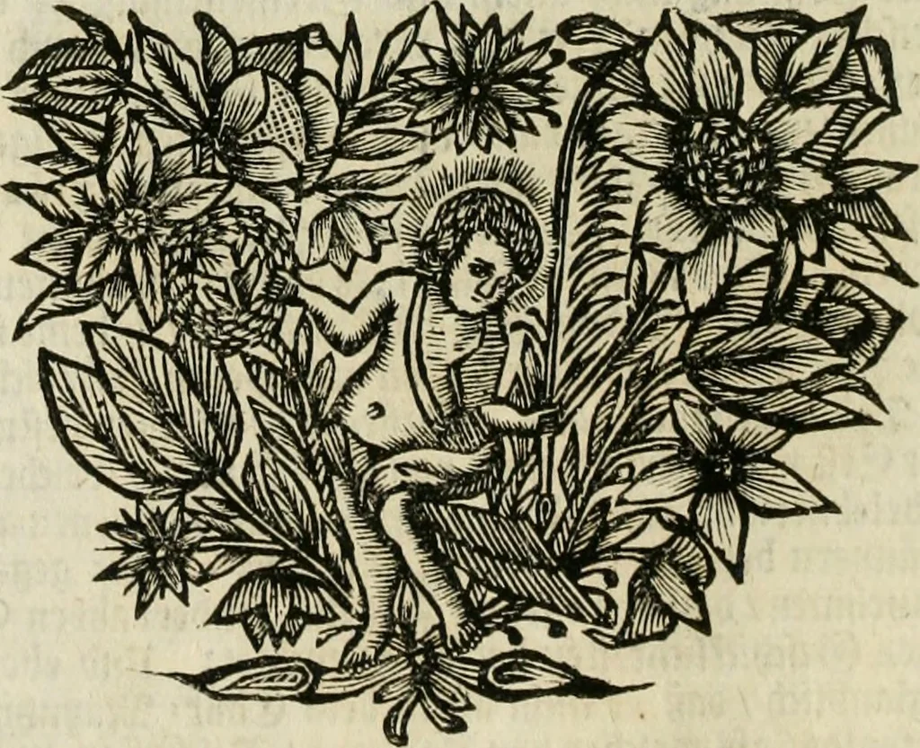 An illustration from Gryphus principalis, sive, Typus boni principis : XII titulis repræsentatus et reverendissimo ... Ioanni Philippo, S.R.I. principi, episcopo Herbipolensi ... oblatus humillime, 1712, leaf 27
