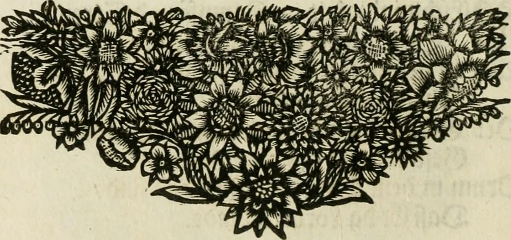 An illustration from Gryphus principalis, sive, Typus boni principis : XII titulis repræsentatus et reverendissimo ... Ioanni Philippo, S.R.I. principi, episcopo Herbipolensi ... oblatus humillime, 1712, leaf 29