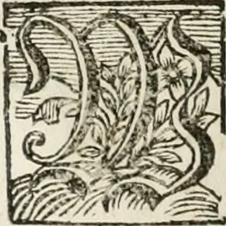 An illustration from Gryphus principalis, sive, Typus boni principis : XII titulis repræsentatus et reverendissimo ... Ioanni Philippo, S.R.I. principi, episcopo Herbipolensi ... oblatus humillime, 1712, leaf 341