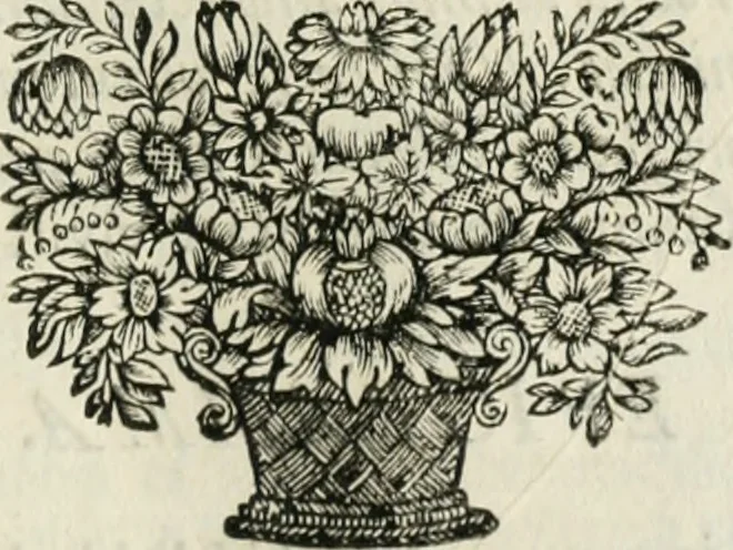 An illustration from Gryphus principalis, sive, Typus boni principis : XII titulis repræsentatus et reverendissimo ... Ioanni Philippo, S.R.I. principi, episcopo Herbipolensi ... oblatus humillime, 1712, leaf 88