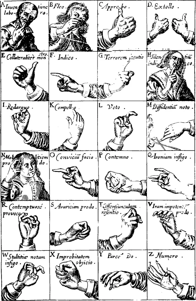 An illustration from Chirologia, or, The naturall language of the hand c [microform] : composed of the speaking motions, and discoursing gestures thereof : whereunto is added, Chironomia, or, The art of manual rhetoricke, consisting of the naturall expressions, digested by art in the hand ... : with types, or chyrograms, a long-wish'd for illustration of this argument, 1644, leaf 224