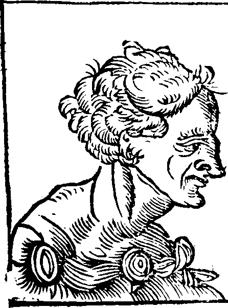 An illustration from Chiromantia., 1546, leaf 104