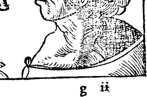 An illustration from Chiromantia., 1546, leaf 104
