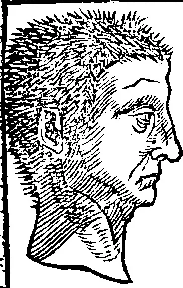 An illustration from Chiromantia., 1546, leaf 107