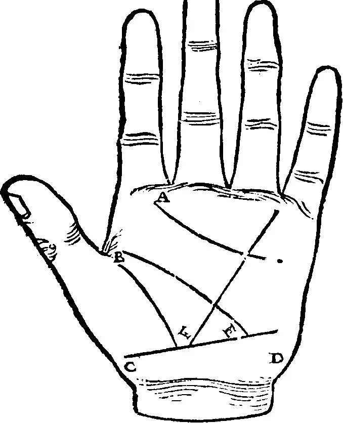 An illustration from Chiromantia., 1546, leaf 13