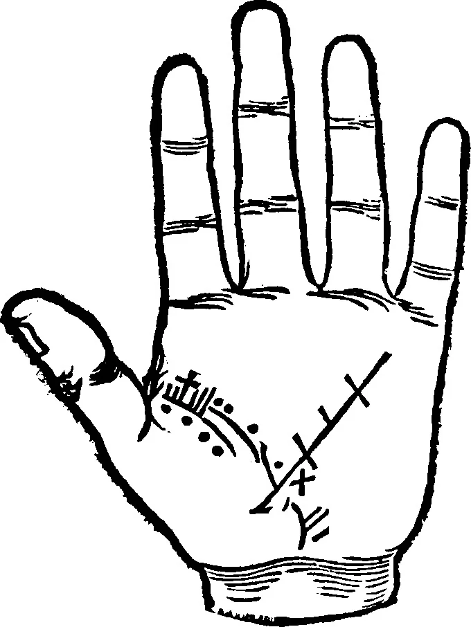 An illustration from Chiromantia., 1546, leaf 22