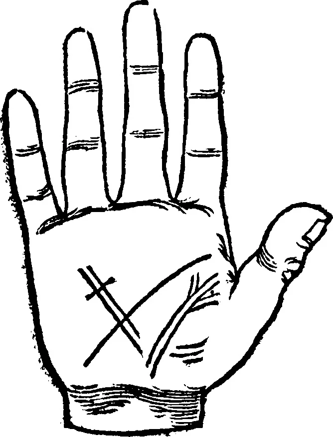 An illustration from Chiromantia., 1546, leaf 23