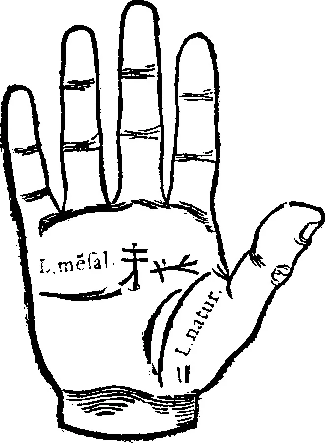 An illustration from Chiromantia., 1546, leaf 27