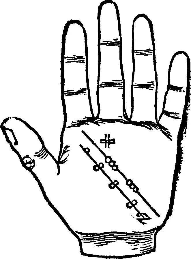 An illustration from Chiromantia., 1546, leaf 28