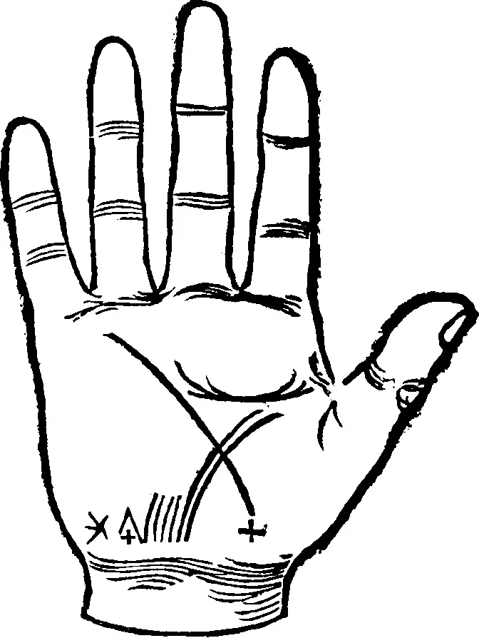 An illustration from Chiromantia., 1546, leaf 45