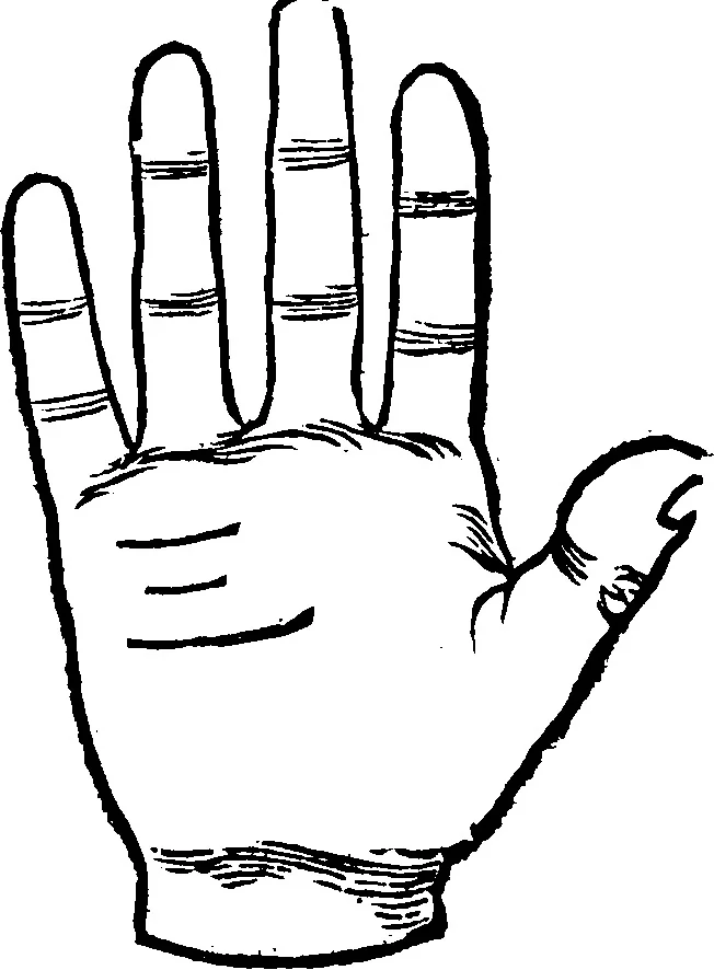 An illustration from Chiromantia., 1546, leaf 51