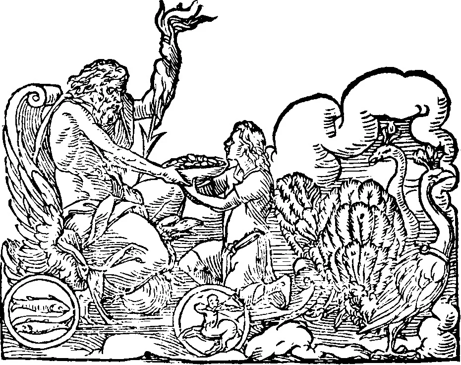 An illustration from Chiromantia., 1546, leaf 65