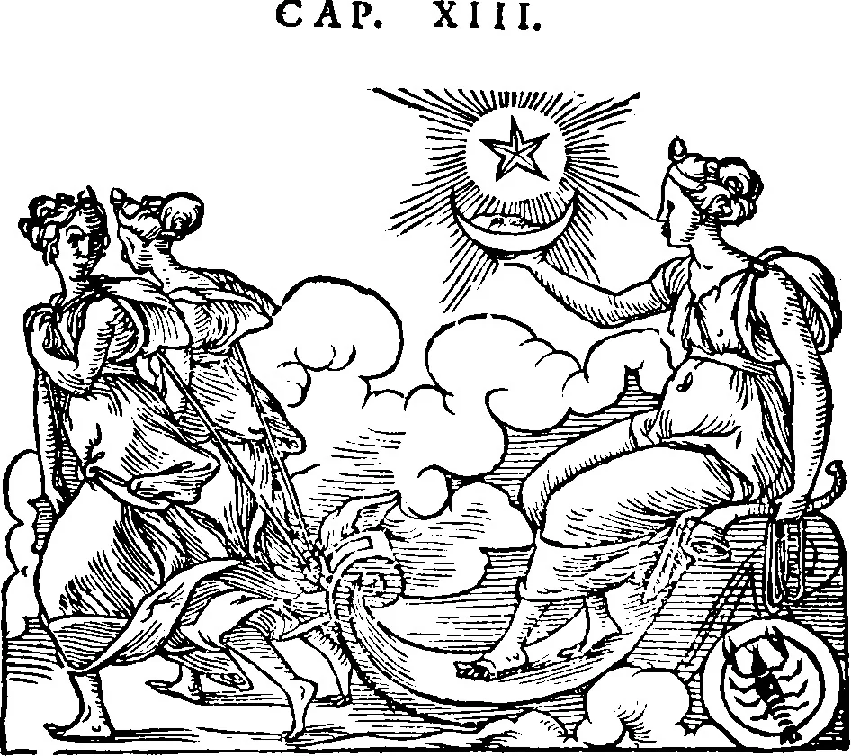 An illustration from Chiromantia., 1546, leaf 82